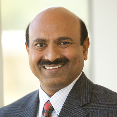 Prof. Vijayan Sugumaran